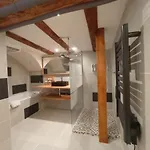 La Cigogne Doree De Charme 4 Etoiles Apartmán Schiltigheim