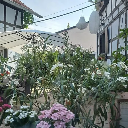 La Cigogne Doree De Charme 4 Etoiles Apartment *