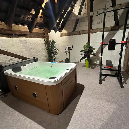 La Cigogne Doree De Charme 4 Etoiles * Schiltigheim